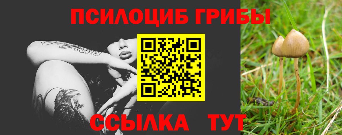 Галлюциногенные грибы Psilocybe  Вход с VPN  Туймазы 